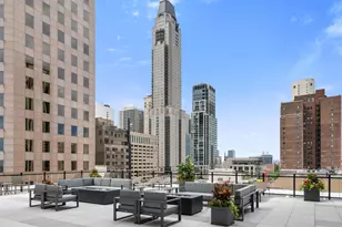 1000 N Lake Shore Plaza, Chicago, IL 60611 - Photo 42