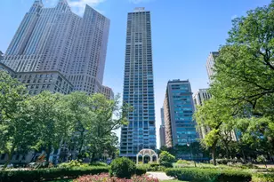 1000 N Lake Shore Plaza, Chicago, IL 60611 - Photo 42