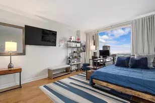 1000 N Lake Shore Plaza, Chicago, IL 60611 - Photo 20