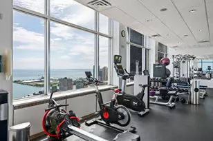 1000 N Lake Shore Plaza, Chicago, IL 60611 - Photo 36