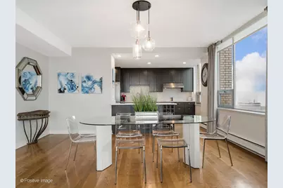 1000 N Lake Shore Plaza #39C, Chicago, IL 60611 - Photo 8