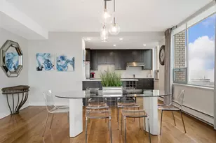 1000 N Lake Shore Plaza, Chicago, IL 60611 - Photo 8