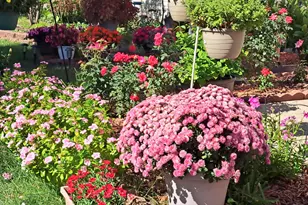 2070 Foxtail Dr, Aurora, IL 60504 - Photo 30