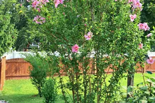 2070 Foxtail Dr, Aurora, IL 60504 - Photo 32