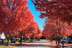 2070 Foxtail Dr, Aurora, IL 60504 - Photo 34