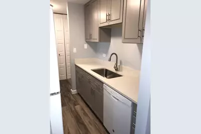 4 Oak Creek Drive #3505, Buffalo Grove, IL 60089 - Photo 4