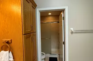 1N061 Mission Ct, Winfield, IL 60190 - Photo 14