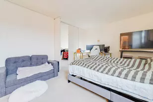 2941 S Michigan Ave, Chicago, IL 60616 - Photo 24