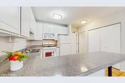 630 N State Street #2403, Chicago, IL 60654 - Photo 10