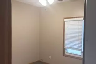 209 8th Ave, Mendota, IL 61342 - Photo 22