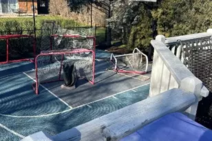 124 S Fairlane Ave, Elmhurst, IL 60126 - Photo 30