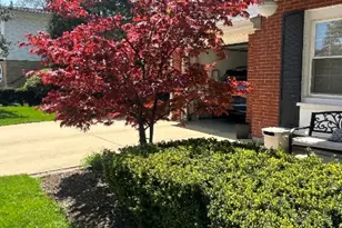 124 S Fairlane Ave, Elmhurst, IL 60126 - Photo 2