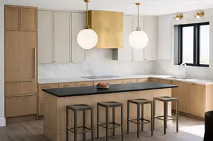 2821 N Orchard St, Chicago, IL 60657 - Photo 4