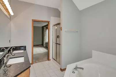 21377 Bramble Drive, Frankfort, IL 60423 - Photo 26