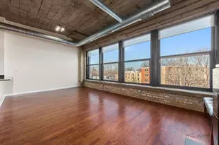 1151 W 14th Pl, Chicago, IL 60608 - Photo 12