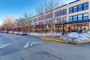 1151 W 14th Pl, Chicago, IL 60608 - Photo 2