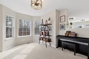 778 W Misty Dr, Palatine, IL 60074 - Photo 10