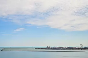 1550 N Lake Shore Dr, Chicago, IL 60610 - Photo 14