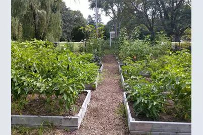 2S720 Nelson Lake Road, Batavia, IL 60510 - Photo 30