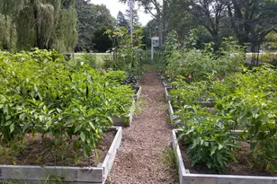 2S720 Nelson Lake Rd, Batavia, IL 60510 - Photo 30