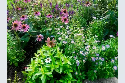 1137 Kirkwood Boulevard, Davenport, IA 52803 - Photo 38