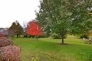 1110 Colonial Dr, Joliet, IL 60432 - Photo 30