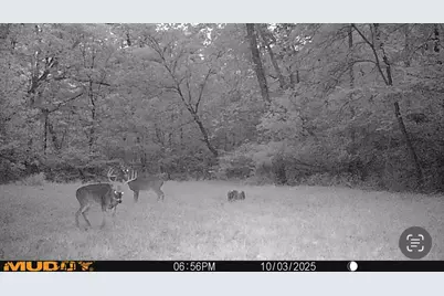 000 E 200th Avenue, Mazon, IL 62443 - Photo 22