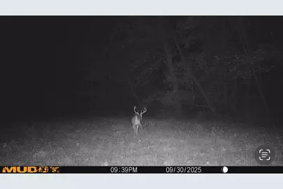 000 E 200th Avenue, Mazon, IL 62443 - Photo 24