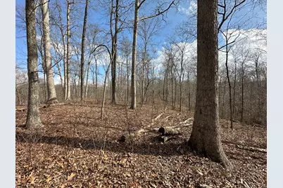 000 E 200th Avenue, Mazon, IL 62443 - Photo 4