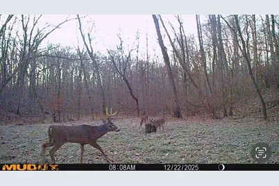 000 E 200th Avenue, Mazon, IL 62443 - Photo 20