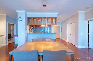 1629 S Prairie Ave, Chicago, IL 60616 - Photo 40