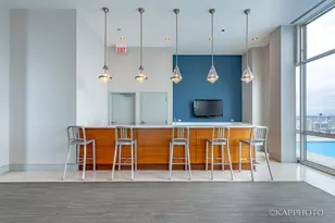 1629 S Prairie Ave, Chicago, IL 60616 - Photo 48