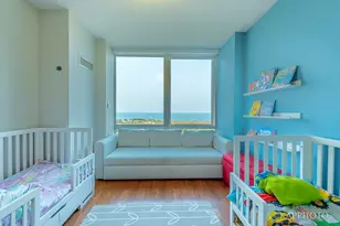 1629 S Prairie Ave, Chicago, IL 60616 - Photo 40