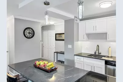 70 W Burton Place #301F, Chicago, IL 60610 - Photo 16