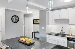 70 W Burton Pl, Chicago, IL 60610 - Photo 16