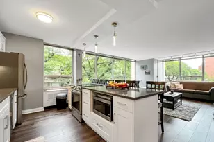 70 W Burton Pl, Chicago, IL 60610 - Photo 14