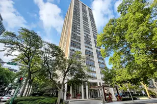 70 W Burton Pl, Chicago, IL 60610 - Photo 2