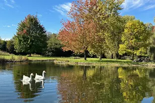 3 Eagle Pointe Dr, Barrington Hills, IL 60010 - Photo 42