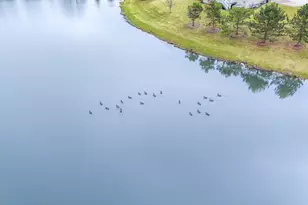 22303 Majestic Ln, Frankfort, IL 60423 - Photo 44