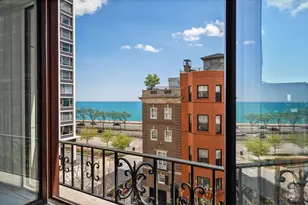 65 E Goethe St, Chicago, IL 60610 - Photo 24