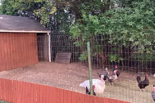 [Address not provided], West Chicago, IL 60185 - Photo 126