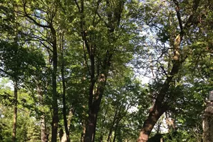 [Address not provided], West Chicago, IL 60185 - Photo 28