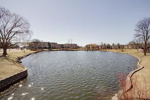 1101 S Hunt Club Dr, Mount Prospect, IL 60056 - Photo 38