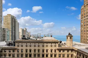 159 E Walton Pl, Chicago, IL 60611 - Photo 6