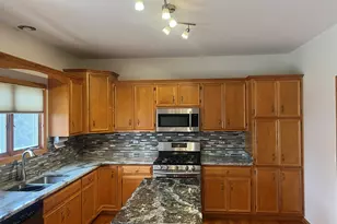 617 The Hague, Peotone, IL 60468 - Photo 18