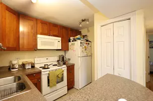 10111 Old Orchard Ct, Skokie, IL 60076 - Photo 10