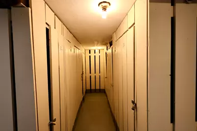 10111 Old Orchard Court #203, Skokie, IL 60076 - Photo 20