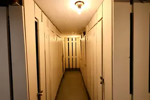 10111 Old Orchard Ct, Skokie, IL 60076 - Photo 20