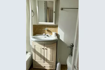 1451 E 55th Street #430N, Chicago, IL 60615 - Photo 12