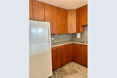 1451 E 55th Street #430N, Chicago, IL 60615 - Photo 4